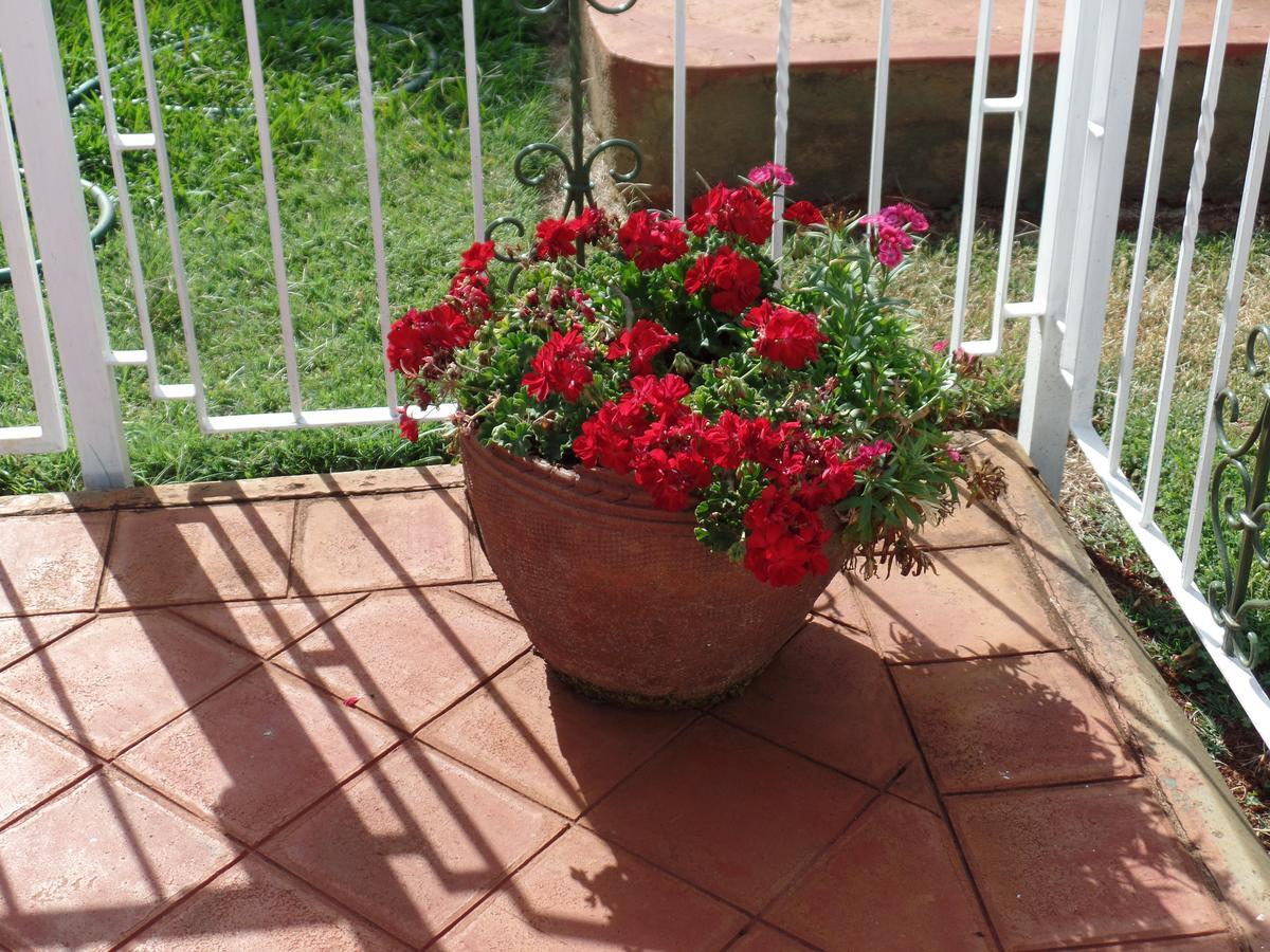 Villa Leone Boutique Hotel Ναϊρόμπι Εξωτερικό φωτογραφία